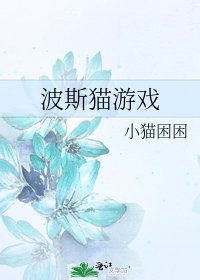 《波斯猫游戏》
