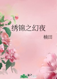 《绣锦之幻夜》