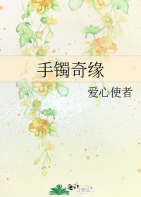《手镯奇缘》