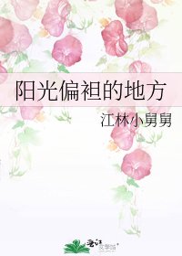 陽光偏袒的地方