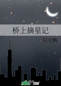 桥上摘星记