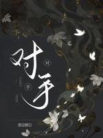 对手