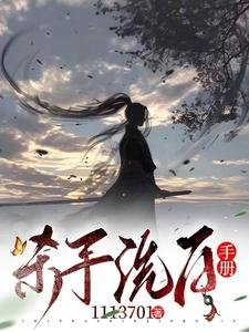 《杀手洗白手册》