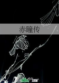 《赤瞳传》