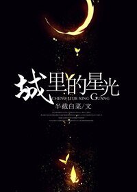 《城里的星光(娱乐圈)》